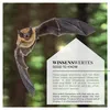 WILDLIFE HOME Fledermauskasten Natur - Fertig Montiert aus Produktbild-Vorschau 6
