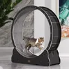 A cat is running on a large black cat wheel in a modern living room setting. Produktbild-Vorschau