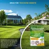 EcoDeco Graines de gazon gazon à semer 5kg, gazon terrain Voir les images du produit 4
