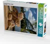 CALVENDO Puzzle Travelling Teddy in Kuba | 1000 Teile Produktbild-Vorschau 1