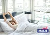 MALIE BIG STAR - H4 120x200 Tonnentaschenfederkern Matratze Produktbild-Vorschau 5