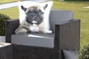 MuchoWow® Outdoor Kissen - Porträt eines französischen Produktbild-Vorschau 5