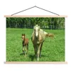 MuchoWow® Textilposter Pferd - Fohlen - Tiere 120x90 cm mit Produktbild-Vorschau 1