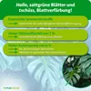 Purgrün Monstera-Deliciosa-Dünger 1 Liter Produktbild-Vorschau 3