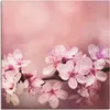 ARTland Leinwandbild Kirschblüten Größe: 70x70 cm Produktbild-Vorschau 1