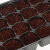 com-four® 4x Zimmergewächshaus, Multitopfplatten mit Produktbild-Vorschau 8