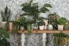 Clayre & Eef Blumentopf Ø 12x10 cm Grün Weiß Keramik Produktbild-Vorschau 2