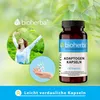 Bioherba Adaptogen Kapseln 100 Stück Produktbild-Vorschau 7