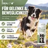 REAVET Grünlippmuschel Kapseln 300 Stück Hund hochdosiert - Produktbild-Vorschau 2
