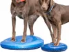 Disco di equilibrio FitPAWS per animali domestici 36 cm blu Anteprima dell’immagine prodotto 5
