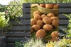 MuchoWow® Produktbild-Vorschau 5