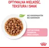 ROYAL CANIN FHN Kitten Sterilised - mokra karma dla kociąt Podgląd zdjęcia produktu 2