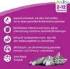 Marketing image for junior cat food with feature descriptions and a kitten. Produktbild-Vorschau