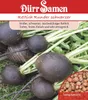Rettich Runder schwarzer | Rettichsamen von Dürr Samen Produktbild-Vorschau 1