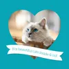 Burgess Neutered Cat – Kompletna karma sucha dla kotów Podgląd zdjęcia produktu 2