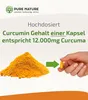 Pure Nature Kurkuma Kapseln Komplex HOCHDOSIERT [1 Kps/Tag Produktbild-Vorschau 2