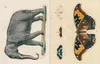 John Derian Sticker Book Produktbild-Vorschau 6