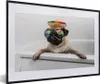 MuchoWow® MuchoWow® Gerahmtes Poster Mops mit Sonnenbrille Produktbild-Vorschau 1