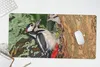 MuchoWow® Schreibtischunterlage Ein Buntspecht füttert Produktbild-Vorschau 5