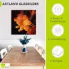 ARTland Glasbild Clivie in leuchtendem Orange Größe: 20x20 Produktbild-Vorschau 3