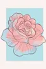 Wandbild - Cinderella Rose - Größe 50 x 70 cm Produktbild-Vorschau 1