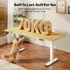 A cat is reaching up towards a large golden '70KG' sign placed on a light-colored wooden desk. The desk has white legs and appears to be in a room with wooden flooring and blinds. Produktbild-Vorschau