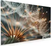 Küchenrückwand Spritzschutz Glas mit Motiv Produktbild-Vorschau 1