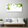 Acrylglasbilder 100x50 Wandbild Druck Zweige Blätter Produktbild-Vorschau 3