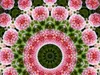Calvendo Blumen Mandala - Kaleidoskop 1000 Teile Puzzle Produktbild-Vorschau 2