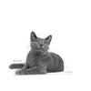 PET FOOD ORAL SENSITIVE 30, 1,5 kg | Sourcing Náhled obrázku produktu 7
