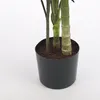 Palme Areca Golden Cane, 150 cm - Groen Productafbeelding-voorbeeld 6