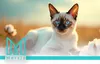 Bentonit Katzenstreu NEUTRAL 10l Produktbild-Vorschau 5