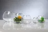 SANDRA RICH Vase boule ø9cm clair (1 pièce) Voir les images du produit 4
