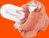 A close-up of a small light bulb with a plastic base against an orange background. Produktbild-Vorschau