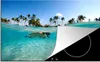 KitchenYeah© Herdabdeckplatte Meer - Schnorcheln - Hawaii , Produktbild-Vorschau 1