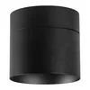 A black cylindrical ceiling spotlight is shown against a white background. Náhľad obrázku produktu