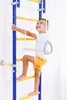 A young boy is climbing a colorful indoor gym. Voir les images du produit