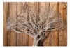 Basera Fototapete Waldmotiv b-C-0044-a-b, Vliestapete, Produktbild-Vorschau 2