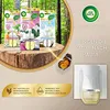 Air Wick Duftölflakon eCom Starter-Set Baumwolle & Weißer Produktbild-Vorschau 3