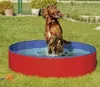 A dog is playing in a red and blue dog pool in a grassy yard. Anteprima dell’immagine prodotto