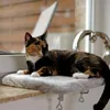 lionto Fensterbrettliege, weiche Katzenliege mit Produktbild-Vorschau 2