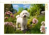 CALVENDO Puzzle Ein Motiv aus dem Kalender "Bichon frisé, Produktbild-Vorschau 1