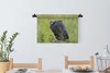 MuchoWow® Wandteppich Wandbehang Perlhühner - Vögel - Produktbild-Vorschau 3