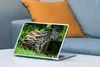 MuchoWow® Laptop Aufkleber Sticker Cover Junger Tapir im Produktbild-Vorschau 4