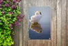 Gartenposter - 40x60 cm - Schwan Fotodruck  - Modernes Produktbild-Vorschau 6