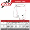 RDX Sports MMA-SHORTS T15 SCHWARZ - L Produktbild-Vorschau 7