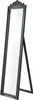 A full-length dark gray mirror with an ornate frame, standing on a white background. Anteprima dell’immagine prodotto