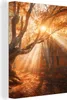 OneMillionCanvasses® - Plátno - Strom - Příroda - Podzim, Náhled obrázku produktu 1