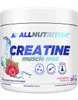 ALLNUTRITION Creatine Muscle Max 250g, citroensmaak. Productafbeelding-voorbeeld 3