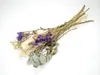 Trockenblumenstrauß 'Dipsacus', Größe ca. 50cm Produktbild-Vorschau 2